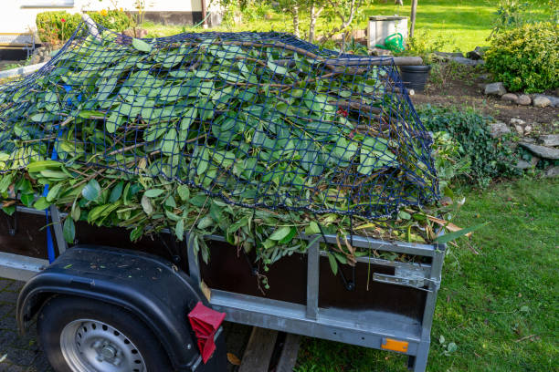 Best Moving and Downsizing Cleanouts  in Summitville, IN